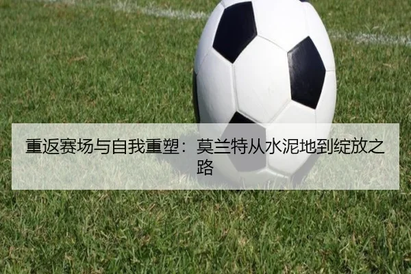 重返赛场与自我重塑：莫兰特从水泥地到绽放之路